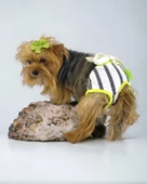 Lime Fuzz Kemique's Secret Köpek İç Çamaşırı Regl Külot Don - 2