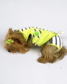 Lime Fuzz Tişört ve İç Çamaşırı Set Köpek Kıyafeti Köpek Kostümü - 5