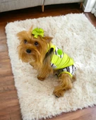 Lime Fuzz Tişört ve İç Çamaşırı Set Köpek Kıyafeti Köpek Kostümü - 3