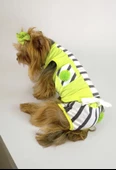 Lime Fuzz Tişört ve İç Çamaşırı Set Köpek Kıyafeti Köpek Kostümü - 8