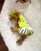 Lime Fuzz Tişört ve İç Çamaşırı Set Köpek Kıyafeti Köpek Kostümü - 2