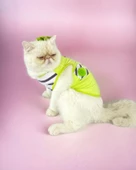 Lime Fuzz Atlet Kedi Kıyafeti Kedi Elbisesi - 3