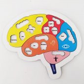 Moon Beavers Beynimi Öğreniyorum 83001,Okula (Fen Bilimleri) Katkı Sağlayan Ahşap Sağlıklı Oyuncak - 3