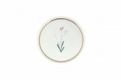 Porland Botanical 4Iü Pasta Takımı 21 cm 04ALM007234 - 5