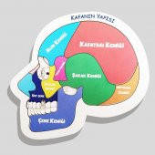 Moon Beavers Kafanın Yapısı Ahşap Puzzle 83003,Eğitici Öğretici Geliştirici Ahşap Sağlıklı Oyuncak - 1