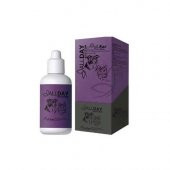 Allday Kedi ve Köpek Kulak Temizleme Solüsyonu 50 ml - 1