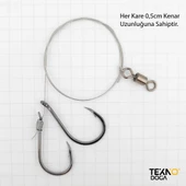 TAMSET 2 İğneli Çelik Telli Uzun Olta Takımı - 3