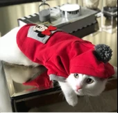 Athletique Kedi Süeteri Sevimli Fare Kırmızı - 7