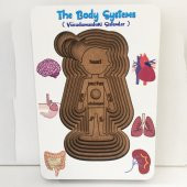 Moon Beavers Vücudumuzdaki Sistemler - Erkek Ahşap Puzzle 83040,Eğitici Öğretici Boyanabilir Ahşap Oyuncak - 3