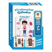 Moon Beavers Vücudumuzdaki Sistemler - Erkek Ahşap Puzzle 83040,Eğitici Öğretici Boyanabilir Ahşap Oyuncak - 4