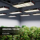 BESTVA DC High-Yield Series 2000W LED Full Spektrumlu Bitki Işığı - 4