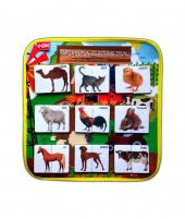 ( Evcil Hayvanlar ) Parça-Bütün Eşleşmeler Keçe Cırtlı Aktivite Sayfası thumbnail 1