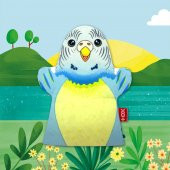 Muhabbet Kuşu Evcil Hayvanlar Keçe El Kukla T312 thumbnail 5