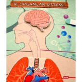 İç Organlar Sistemi Keçe Duvar Panosu - 5