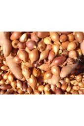 ANNE ELİ Kıska Arpacık Soğan 2kg - 2