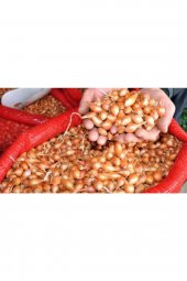 ANNE ELİ Arpacık Soğan Kıska 1kg - 2