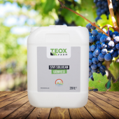 TeoxFarm Kırmızı Kaliforniya Sıvı Solucan Gübresi 20 LT - 2