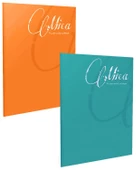 Gıpta Mica A4 100 Yaprak Kareli ve Çizgili Defter Seti - 1