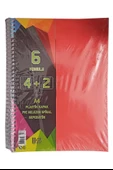 4+2 Ayraçlı Defter 6 Konulu 150 Yaprak 1 Adet 4 Kareli 2 Çizgili Spralli Plastik Kapak Seperatörlü - 4