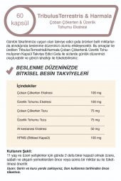 Tribulus Terrestris Çoban Çökerten &Üzerlik Tohumu Ekstresi - 4