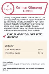 Kırmızı  Panax Extract - 4