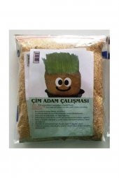 Çim Adam Yapım Seti - 1