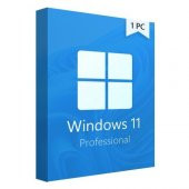 Microsoft Windows 11 Pro 64 Bit Oem DVD Kutu FQC-10556 - 1