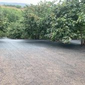 6x8 METRE FINDIK SERGİSİ FINDIK TOPLAMA FİLESİ FINDIK KURUTMA ÖRTÜSÜ 40LIK GÖLGELİK FINDIK ALTI FİLE HASAT TABAN ÖRTÜSÜ - 3