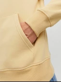 JACK JONES Kapüşonlu Yazı Baskılı Erkek Sweatshirt 12242197 thumbnail 6