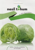 NESİL İCEBERG MARUL TOHUMU 1000 ADET thumbnail 1