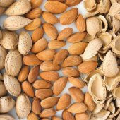 Verimli Tüplü Yarı Bodur Miss Elizabeth Süt Taş Badem Fidanı - 2