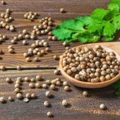 Doğal Aşotu Tohumu(50 tohum) thumbnail 2