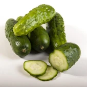 Turşuluk Kornişon Fidesi-5 Adet thumbnail 11