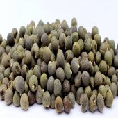 Doğal Bamya Tohumu -1000 Gram thumbnail 4