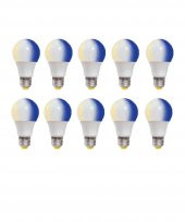 10W+1W Gündüz Ve Gece Ampulü Beyaz - Mavi Işık 10 Adet - 1
