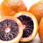 Tüplü Özel Çeşit Kan Portakal Fidanı (Meyve Verme Yaşında) thumbnail 4