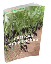 Patlıcan Yetiştiriciliği Kitabı - 2