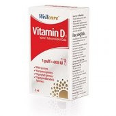 Wellcare Vitamin D3 600 IU 5 ml Spray - 1