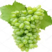 Tüplü Uzun Meyveli Hatun Parmağı Üzüm Fidanı thumbnail 1