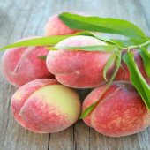 Tüplü Yöresel Anadolu Şentürk Şeftali Fidanı thumbnail 3