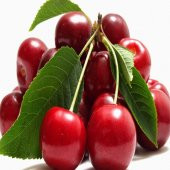 Tüplü Erkenci Cins Lorry Kiraz Fidanı thumbnail 2