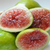 Tüplü Akdeniz İncisi Sinap İncir Fidanı thumbnail 2