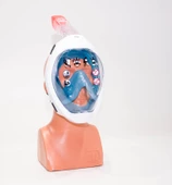 Subea Easybreath Yetişkin Su Altı Keşif Maskesi - Mavi Meridyendukkan Panoramik Görüş thumbnail 1