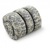 Evolite Straps Sıkıştırma Perlonu 1.2 Mt - 6