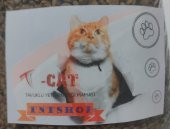 T-CAT Tavuklu Yetişkin Kedi Maması 1 Kg. - Sağlıklı ve Dengeli Beslenme - 2