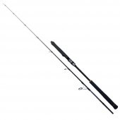 Ryuji Seawolf 168 cm 150-250 gr 2 Parça Jig Olta Kamışı - 1