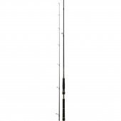 Daiwa New BG Seabass 244 cm 14-42 gr 2 Parça Spin Olta Kamışı - 2