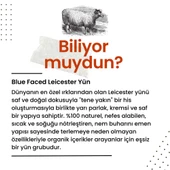 Etrofil Blue Faced Leicester Wool 75179 Midnight Blue - 5