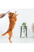 Evcil Hayvan Kıtık Açıcı Metal Kedi Köpek Tarağı - 3