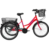 Bisan Porter 3 Vites Nexus Göbek Hizmet Kargo Bisikleti - 1